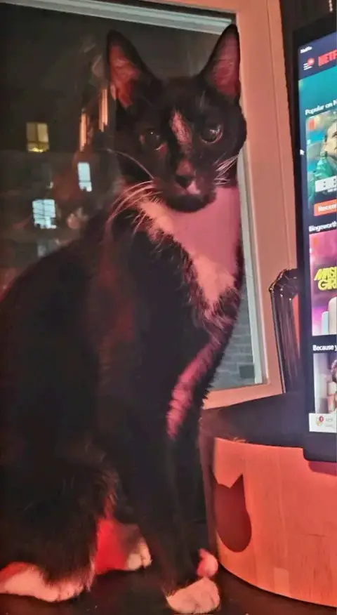 Caesar photo 3
