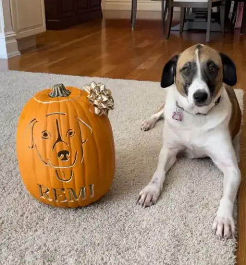 Remi