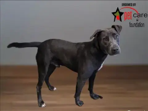 Santos