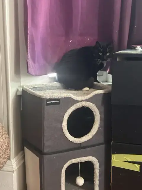 Nova