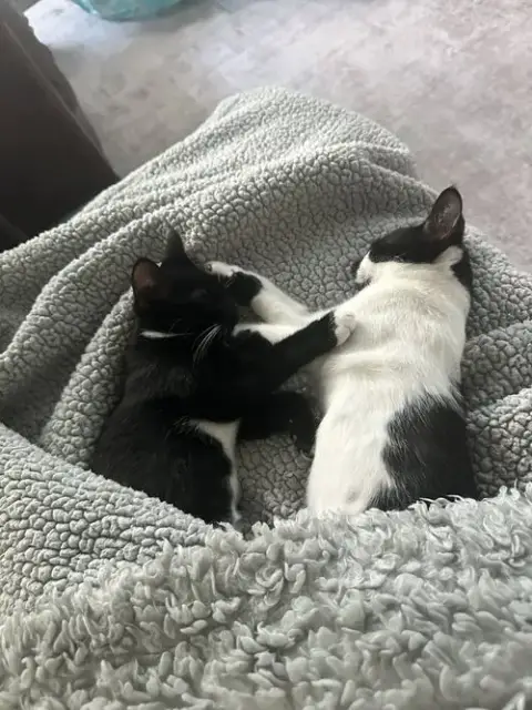 Magic And Daisy photo 3