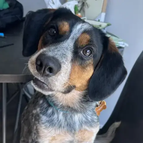 Chance photo 4