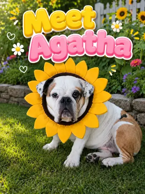 Agatha photo 4