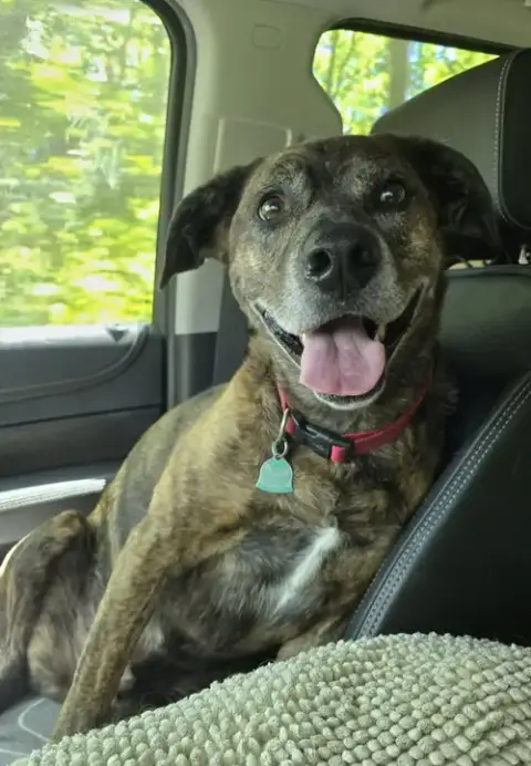 Charlie photo 2