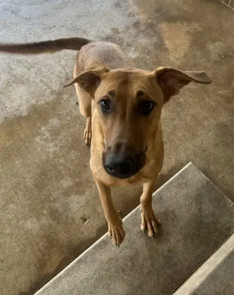 Axel