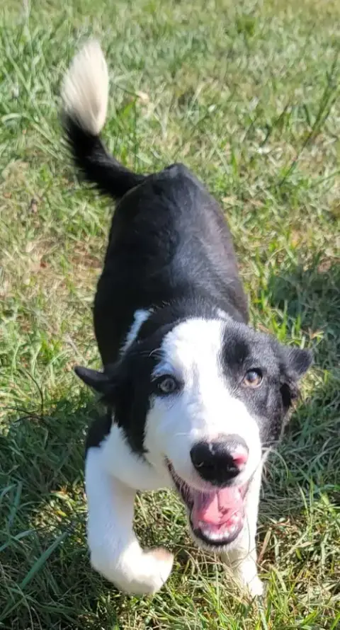 Nimbus photo 3