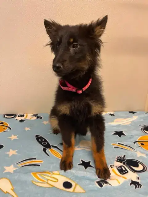 Chloe Bug photo 2