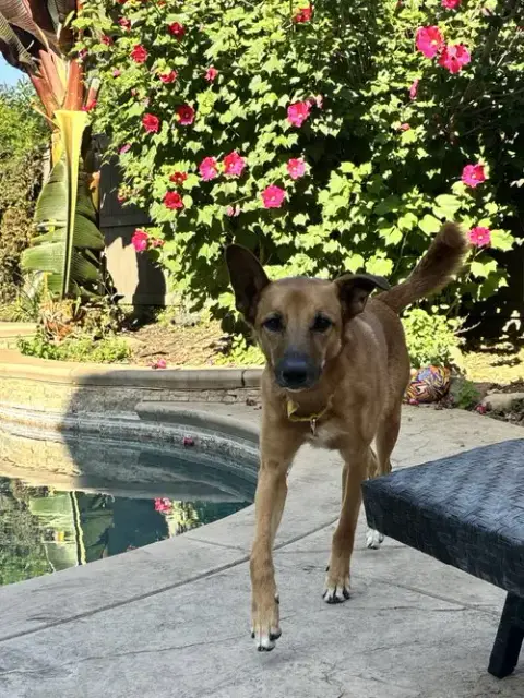 Zeus