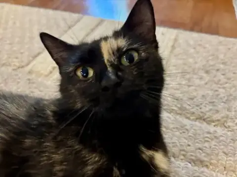 Rosie photo 4