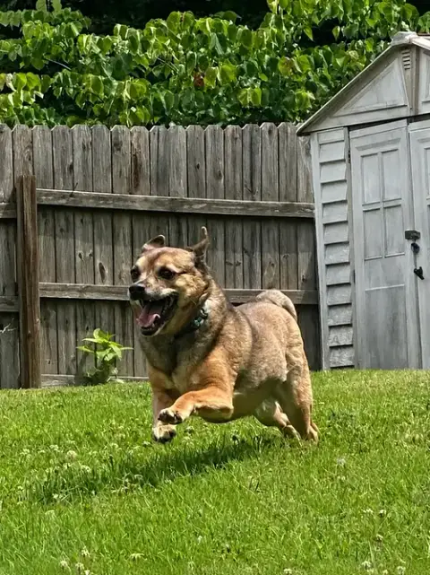 Lil Buddy photo 3