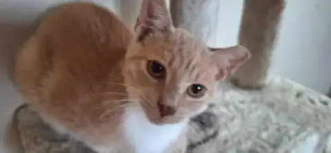 Sammy