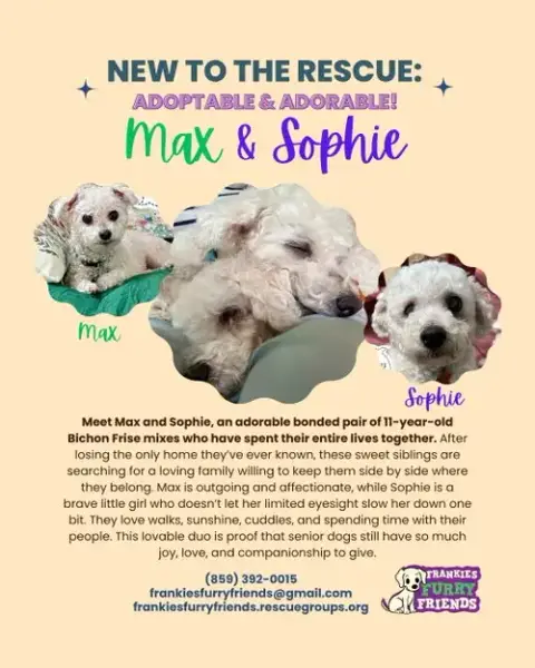 Max And Sophie photo 2