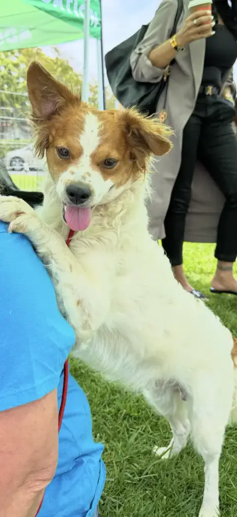 Oliver photo 2