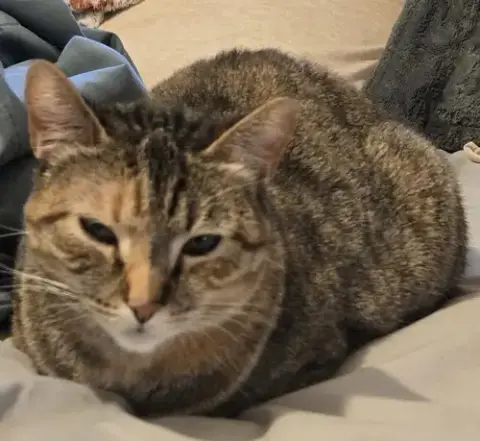 Kit
