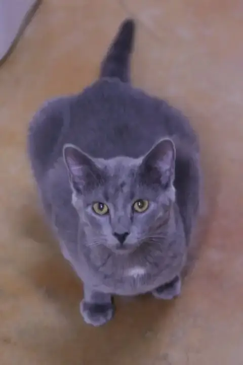 Dusty photo 2