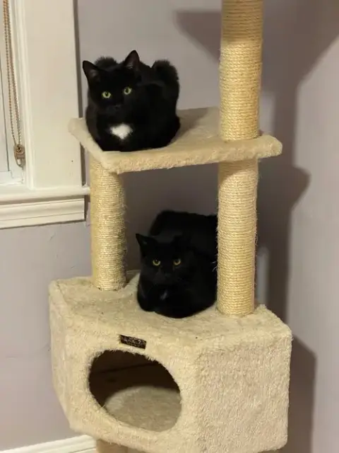 Bari And Gigi photo 3
