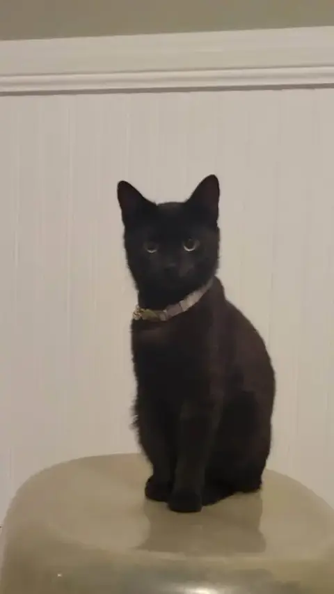 Rosie