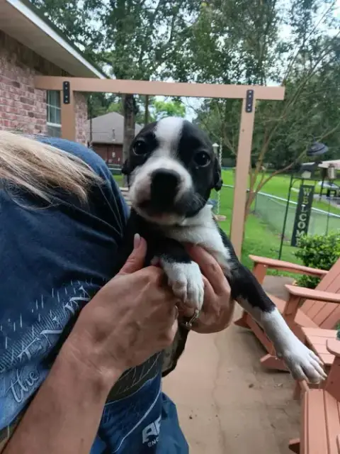 Frankie Footsie *Local*
