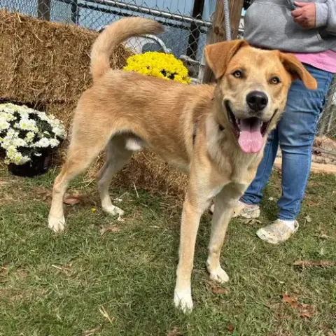 George: Not At Shelter photo 4