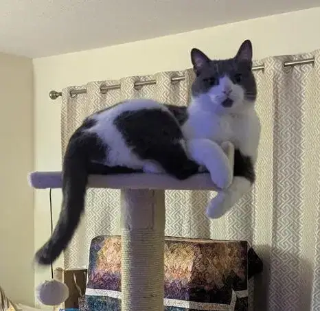 Binx
