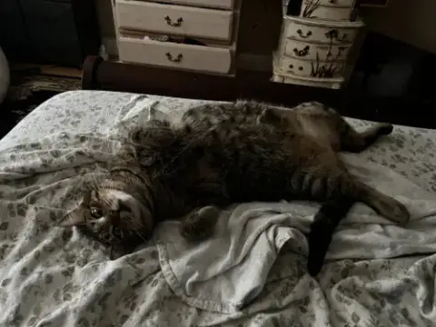 Ella Bonded With Copurrnicus photo 2