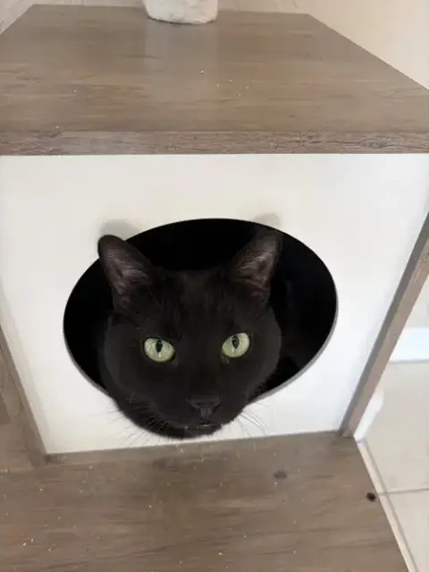 Courtesy Post: Zuko & Bumi