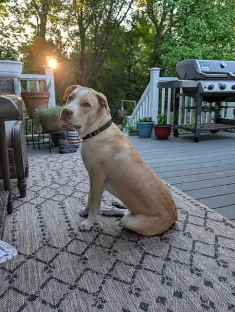Lenny Nj photo 4