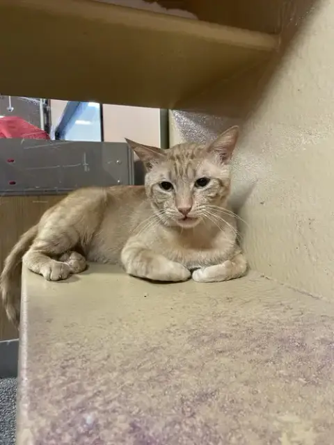 Garfield photo 5