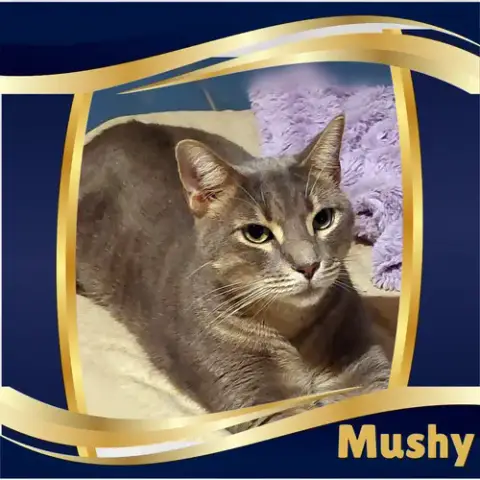 Mushy