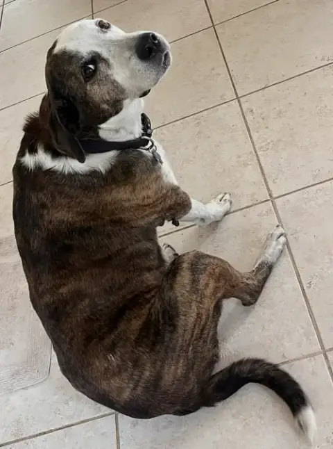 Reagan photo 2