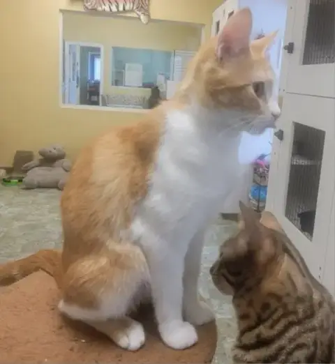 Peaches #Loves-Attention photo 2