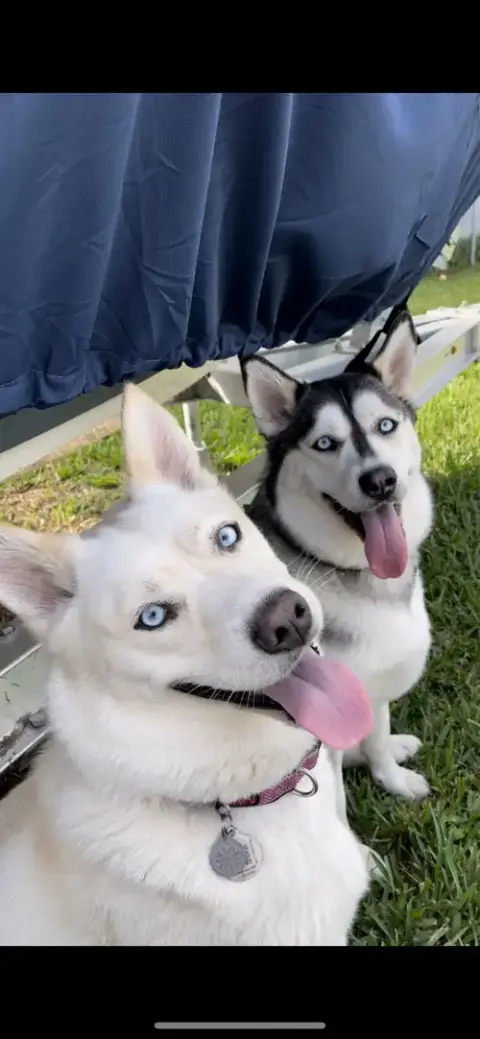 Courtesy Post: Sky & Elsa