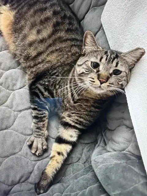 Timmy