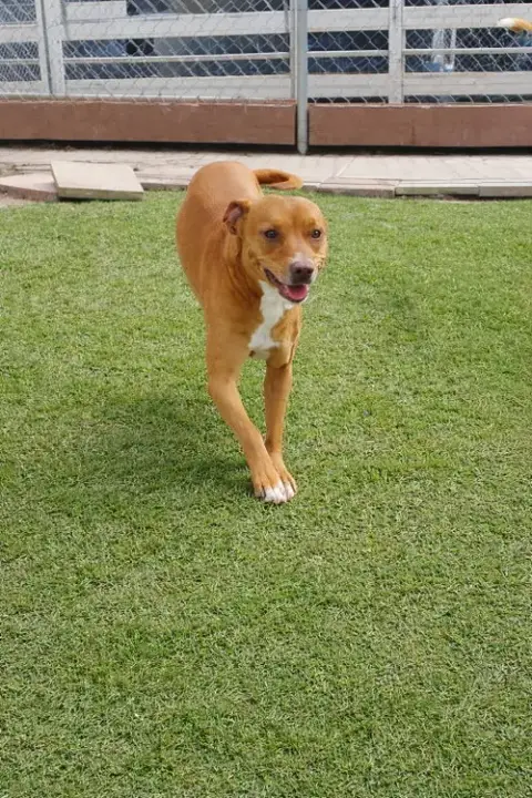 Maya photo 3