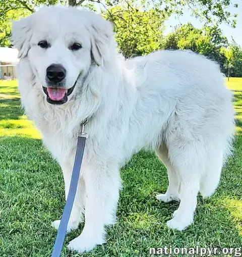 Newton In Ky photo 3