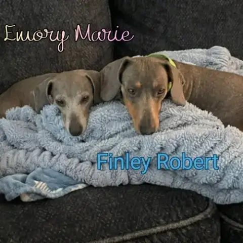 Emory Marie+ photo 2