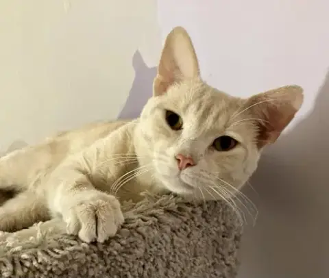 Darwin