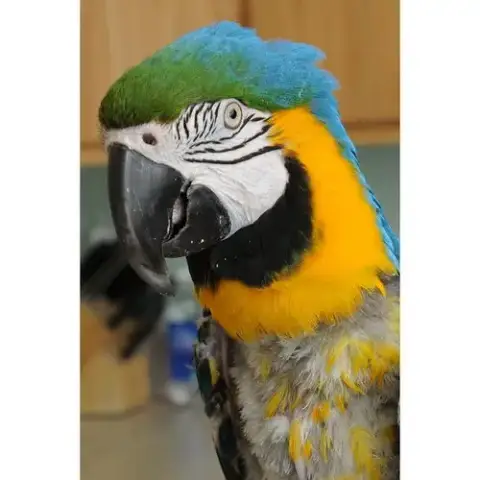 Trudy