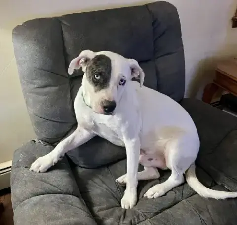 Zero