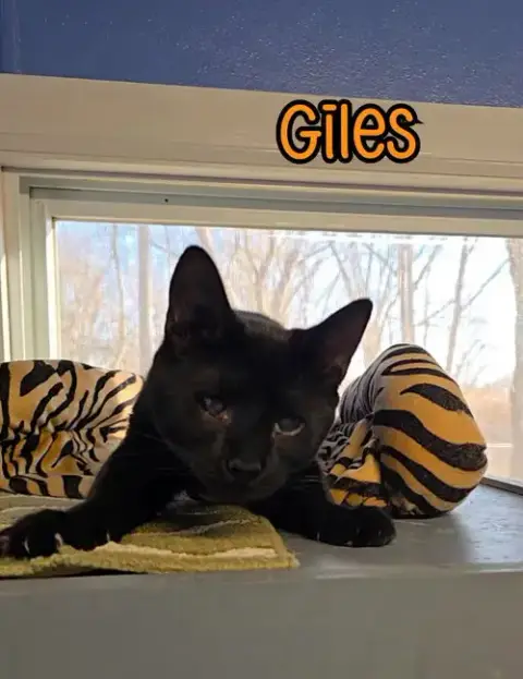 Giles