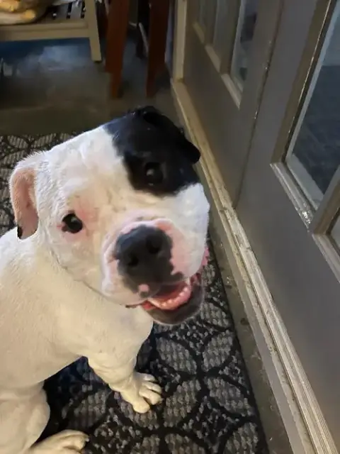 Izzy-Funny photo 3