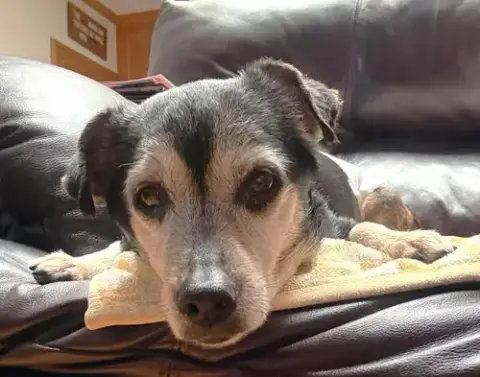 Luka Tx photo 4