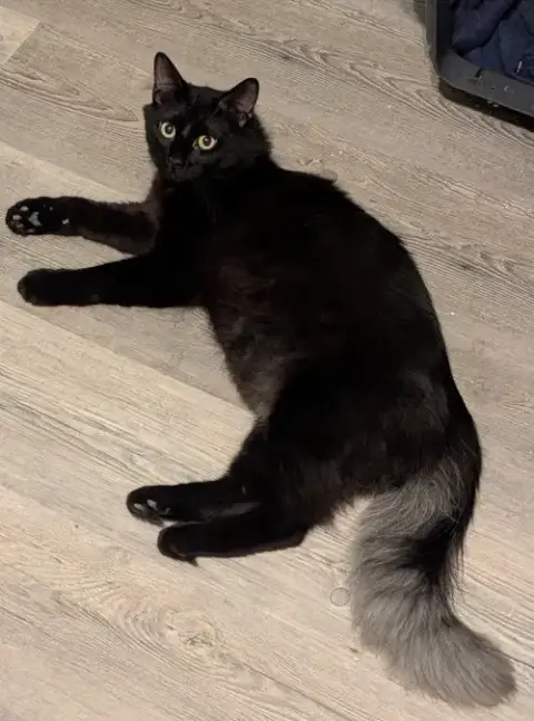 Ghost