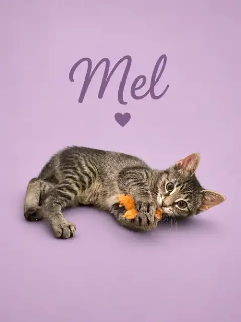 Mel
