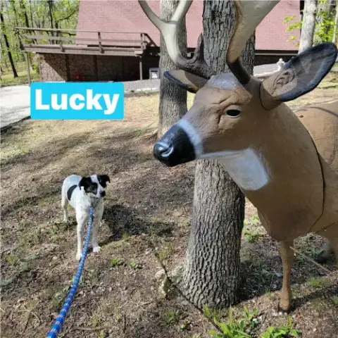 Lucky photo 2