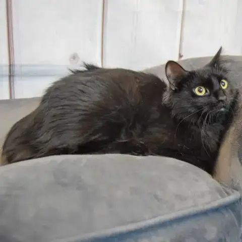 Betty photo 4