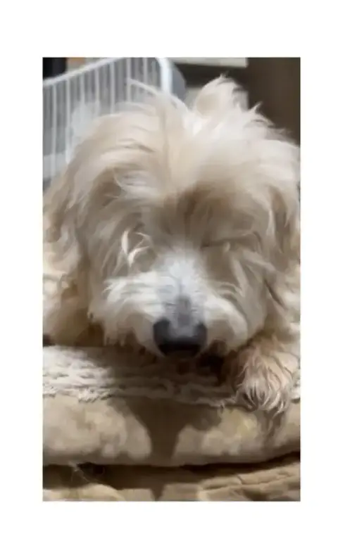 Tucker photo 2