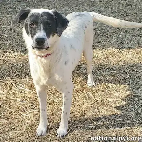 Sunnie In Ky photo 2