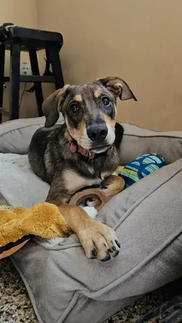 Milo