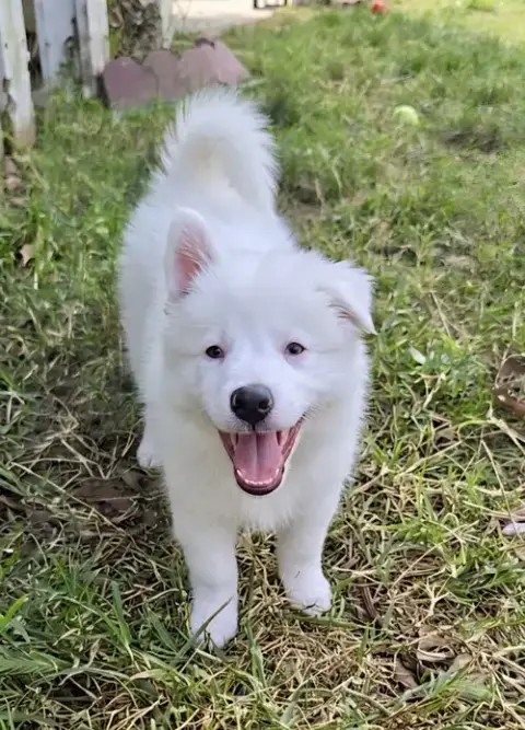 Lucy